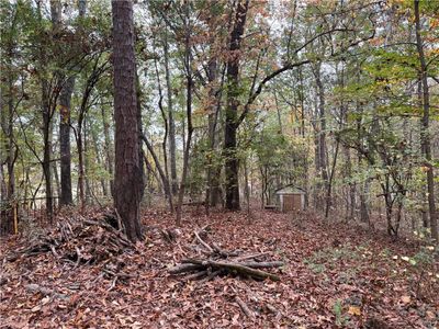 975 Bonner Goldmine Road, House other with 3 bedrooms, 1 bathrooms and 2 parking in Carrollton GA | Image 3