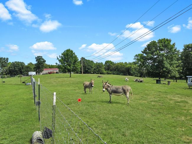 6633 Highway 201 S Spur, House other with 4 bedrooms, 3 bathrooms and null parking in Mountain Home AR | Image 14