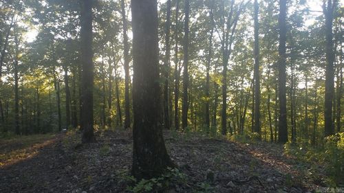 Burnham Mountai E Hwy 8 E, Glenwood, AR, 71943 | Card Image