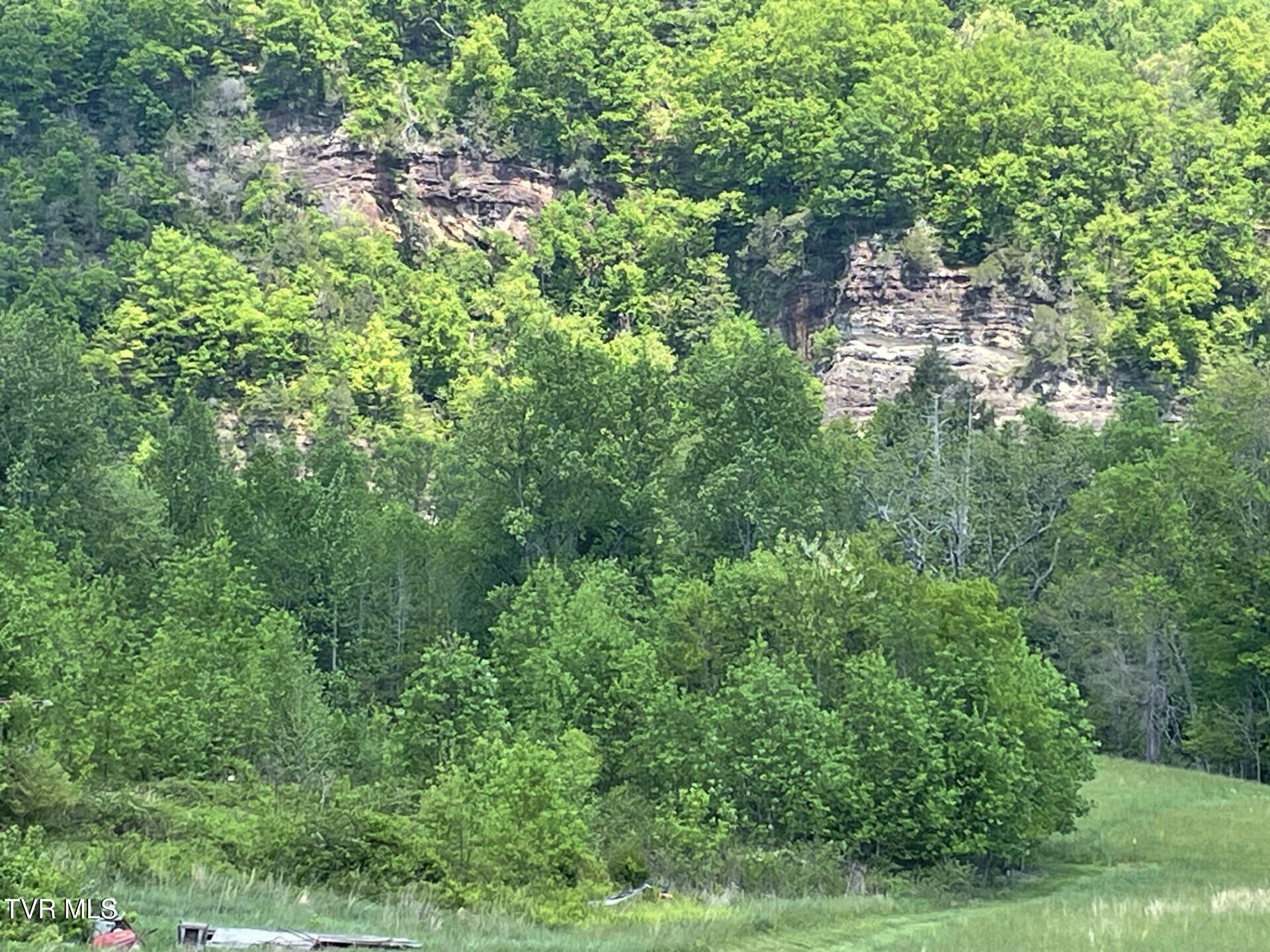 Land in Elizabethton 4