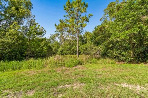 00 Hamrich Dr, DADE CITY, FL, 33525 | Card Image