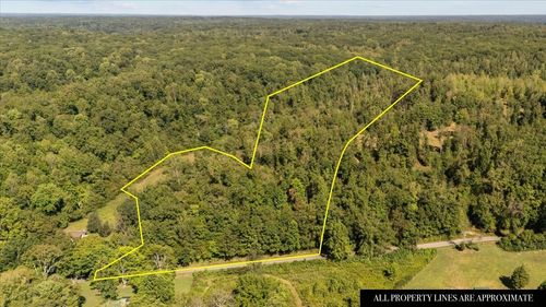 0 Spring Creek Rd, Waverly, TN, 37185 | Card Image