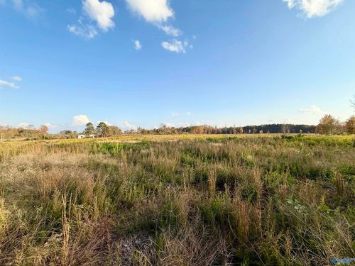 25 ACRES Acer Ln, Albertville, AL, 35951 | Card Image