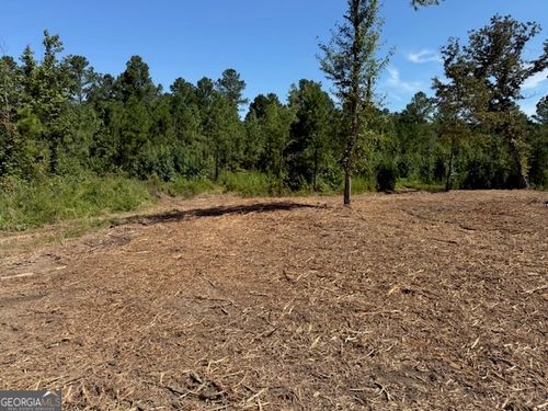 1-0 Satcher Rd, Taylorsville, GA, 30178 | Card Image