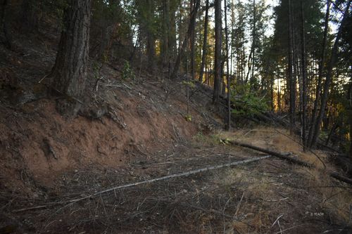 401 Vitzthum Gulch Rd, Douglas City, CA, 96024 | Card Image