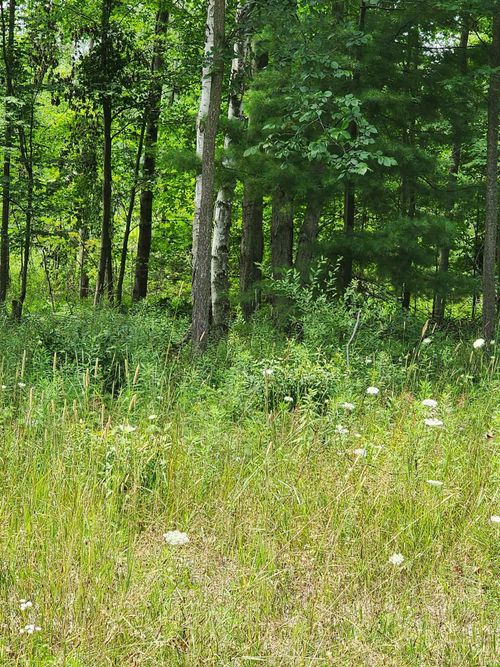 3412 Old Orchard Lane, Lexington Township, MI, 48450 | Card Image