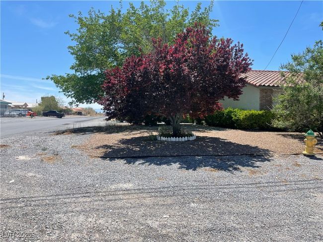 View of yard | Image 6