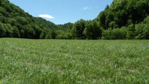 5155 Brimstone Creek Rd, Moss, TN, 38575 | Card Image