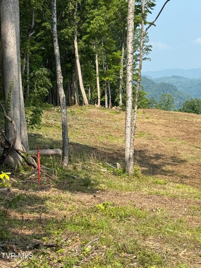 00 Heavens View Ln, Home with 0 bedrooms, 0 bathrooms and null parking in Gate City VA | Image 25