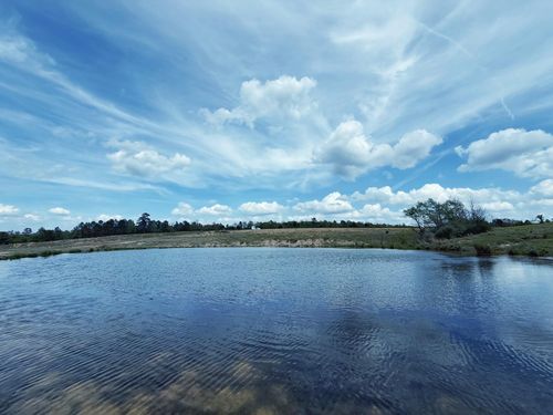 143 ac Cr 236, Oakwood, TX, 75855 | Card Image