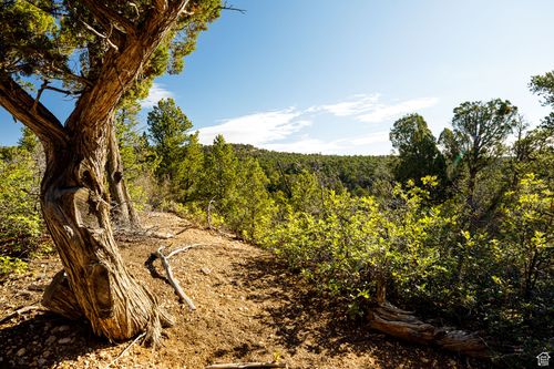 245-245 Slide Canyon Rd, Kanab, UT, 84741 | Card Image