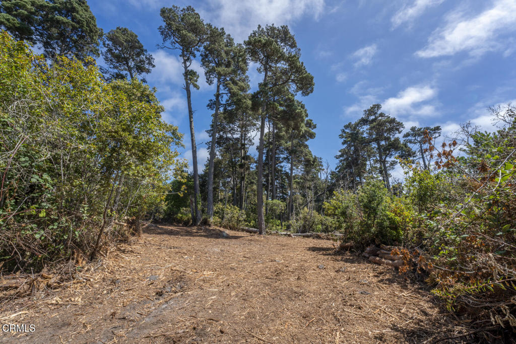 Land in Fort Bragg 2