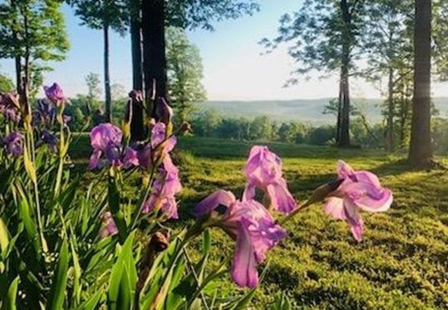 1852 Prince Loop, House other with 4 bedrooms, 2 bathrooms and null parking in Mountain View AR | Image 46