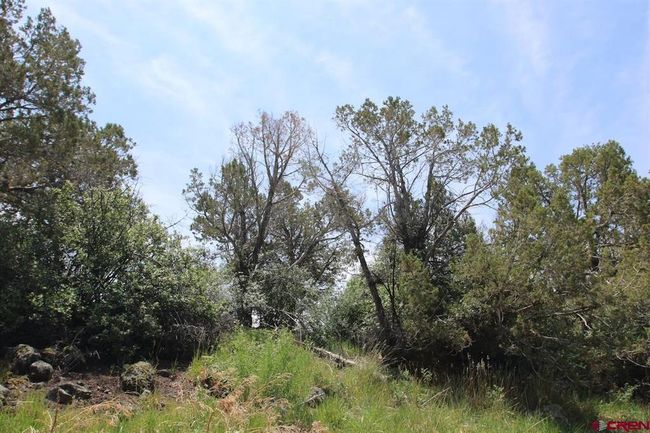 14433 2600 Rd, Home with 0 bedrooms, 0 bathrooms and null parking in Cedaredge CO | Image 32