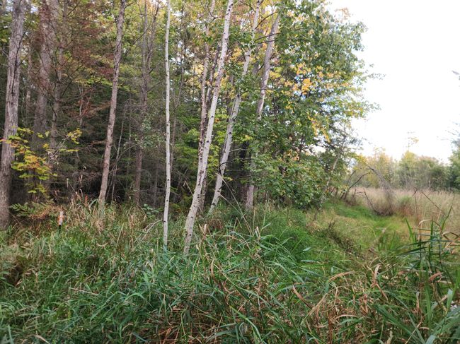 40AC OFF Noble Rd, Home with 0 bedrooms, 0 bathrooms and null parking in Ontonagon MI | Image 4