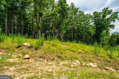lot-64-0 Ridge St, Morganton, GA, 30560 | Card Image