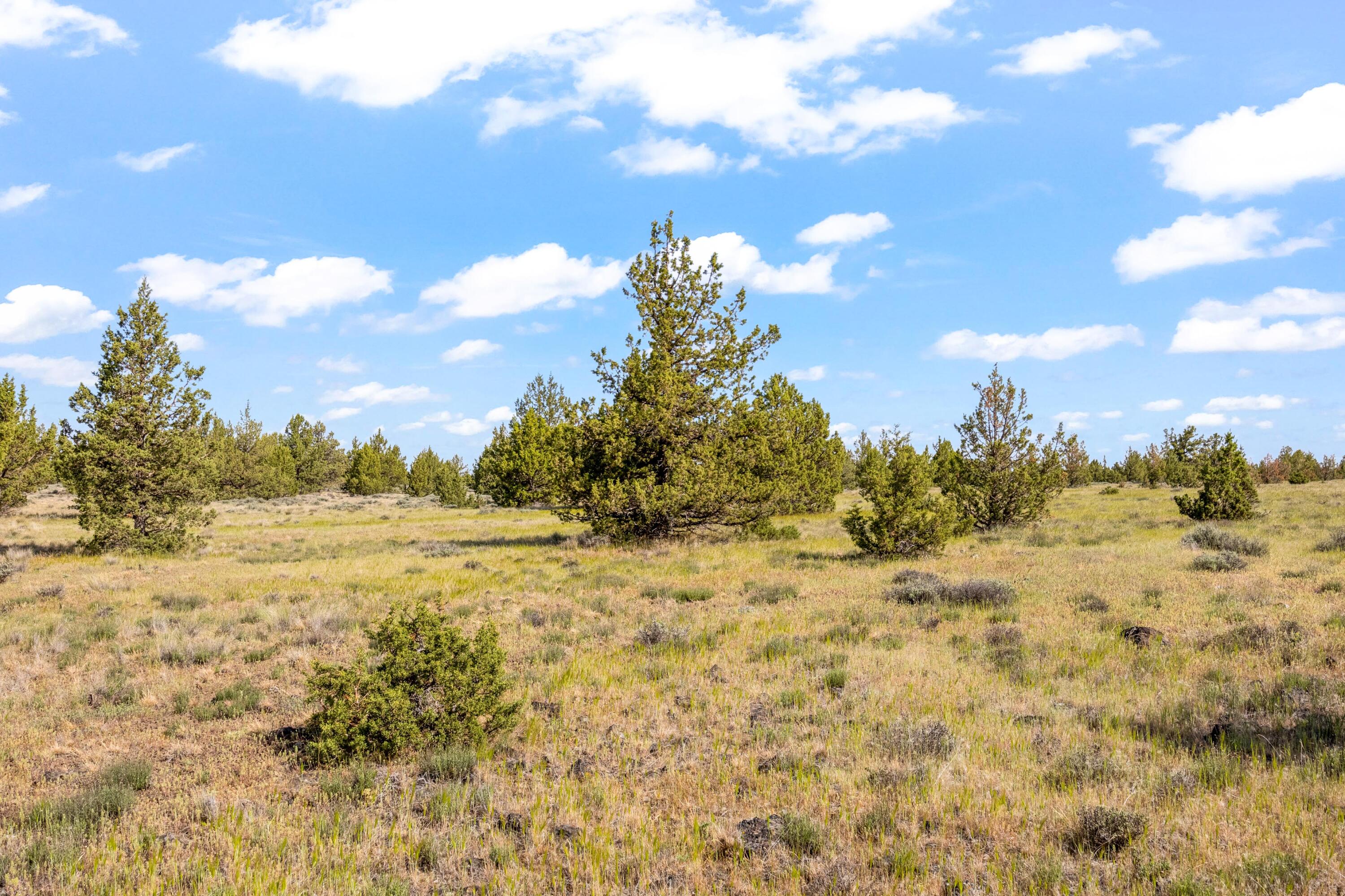 Land in Prineville 2