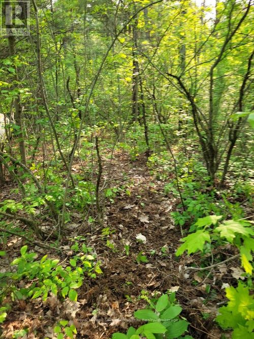 00 South Portage Road, Lake of Bays (Franklin), ON, P0A1H0 | Card Image