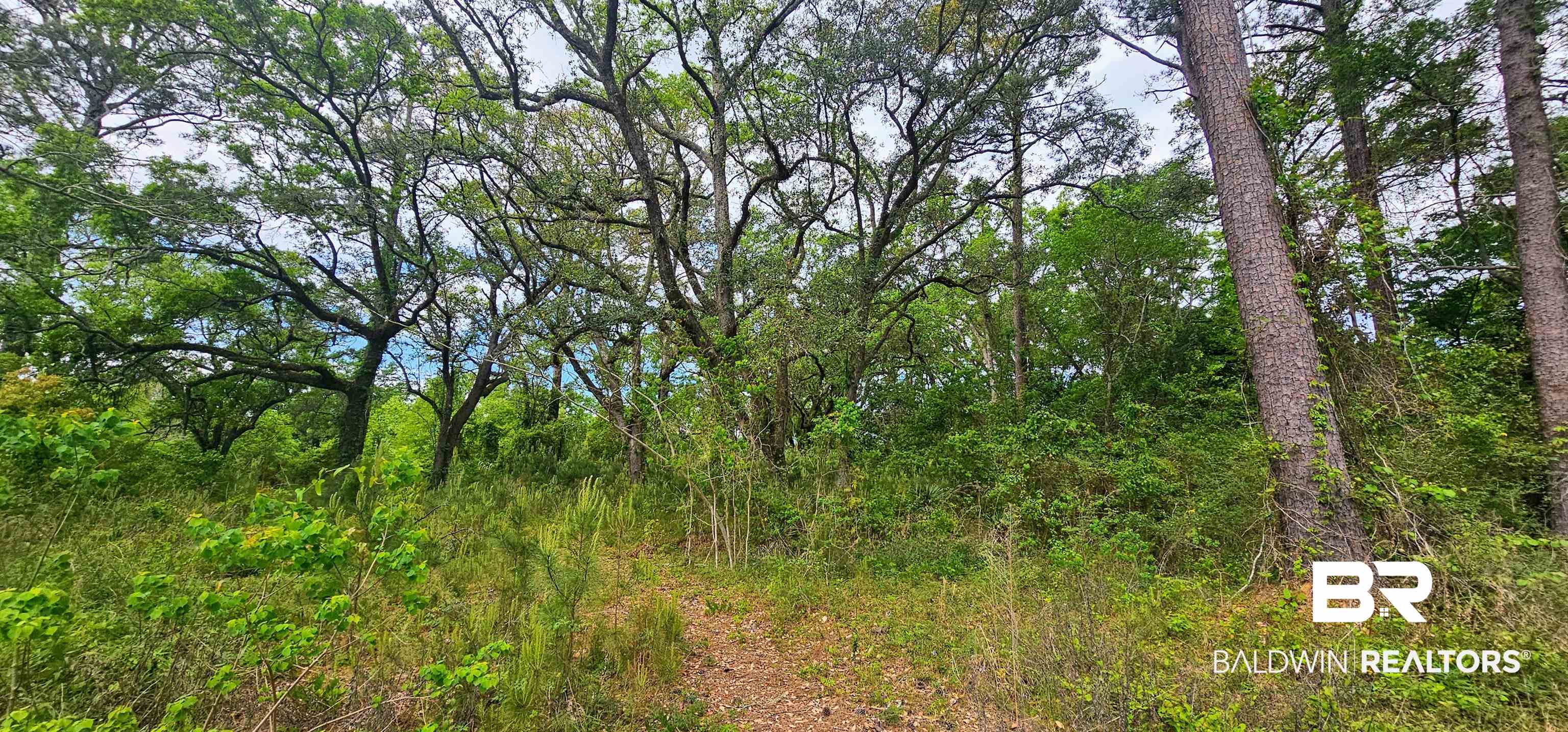 Land in Spanish Fort 2