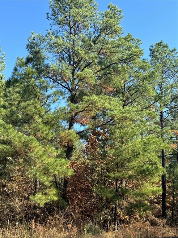 Land in Broken Bow 2