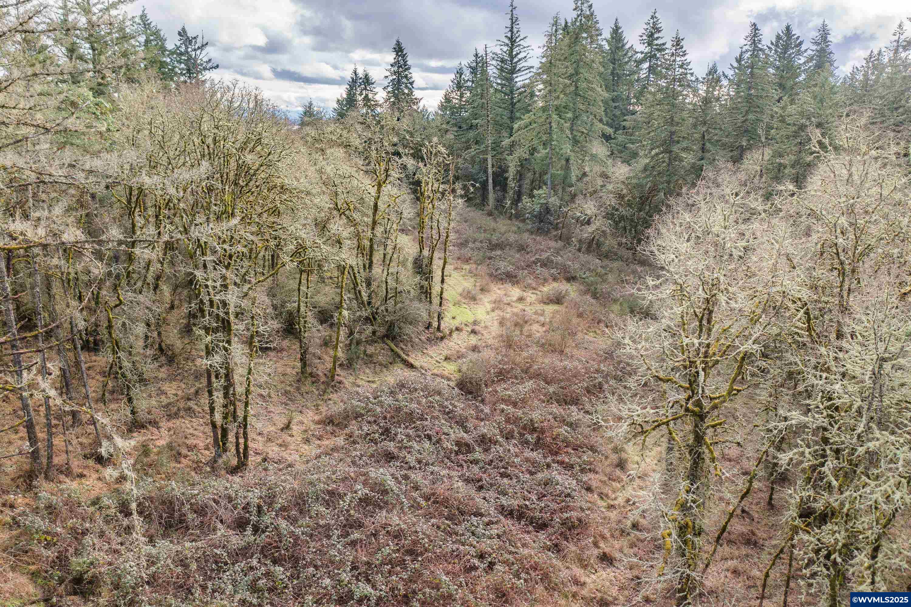 Land in Albany 3