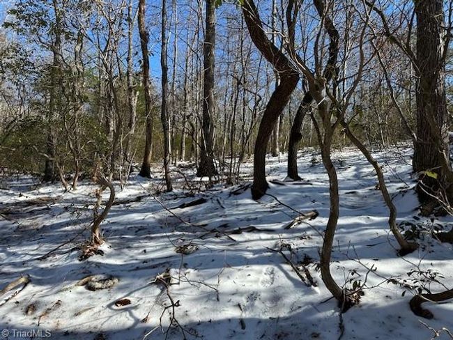 0 Old Railroad Grade Rd, Home with 0 bedrooms, 0 bathrooms and null parking in Thurmond NC | Image 14