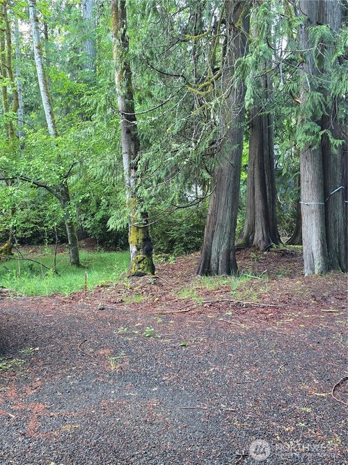 441 E Pointes Dr E, Shelton, WA, 98584-8850 | Card Image