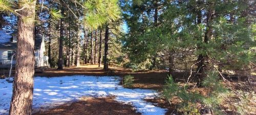 #000 Holiday Lane, Mount Shasta, CA, 96067 | Card Image