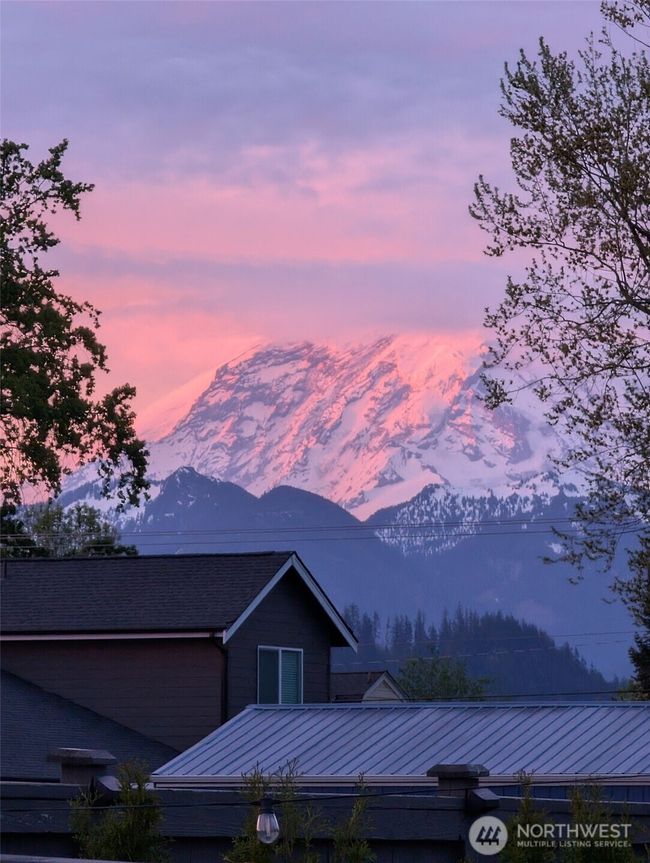View of Mount Rainier from the backyard | Image 35