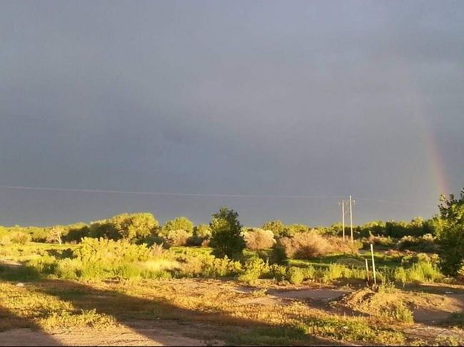 49300 E State Highway 96, House other with 3 bedrooms, 3 bathrooms and 1 parking in Avondale CO | Image 8