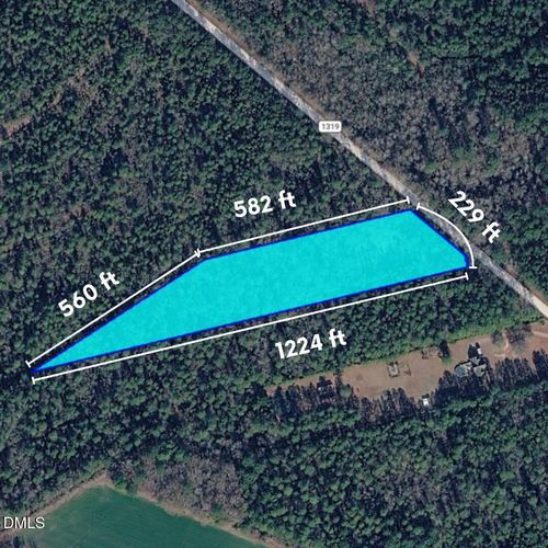 0 Pelham Rd, Willard, NC, 28478 | Card Image