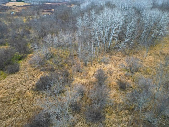DJI_0405.JPG | Image 50
