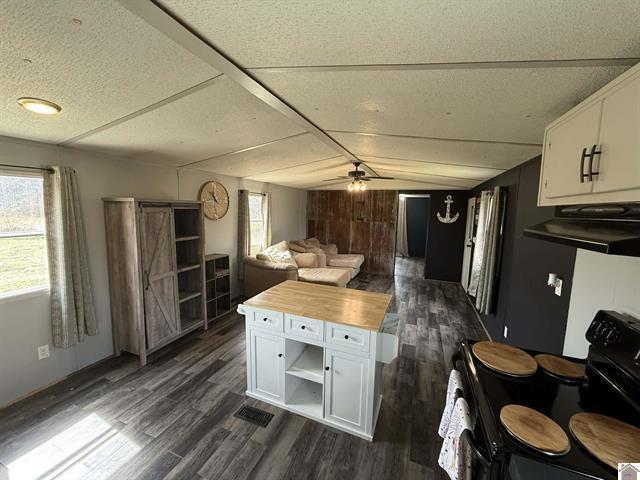 Residential in Wickliffe 2