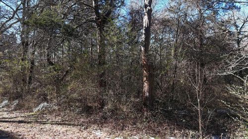 TBD Armour St, Mena, AR, 71953 | Card Image
