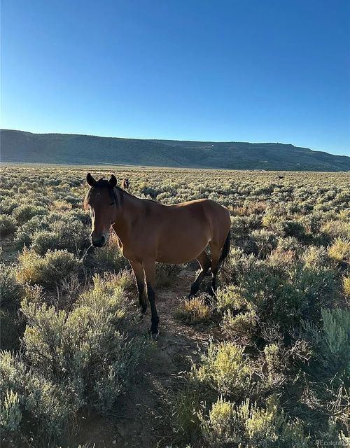 333 W Valley Dr, San Luis, CO, 81152 | Card Image