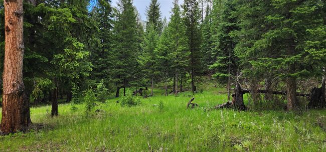 1720 Coon Hollow Rd, Home with 0 bedrooms, 0 bathrooms and null parking in Kila MT | Image 6