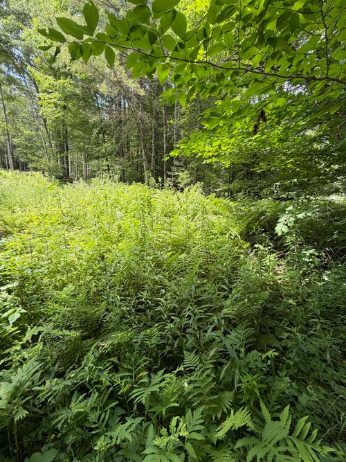 100 Ledge Road, Lisbon, NH, 03585 | Card Image