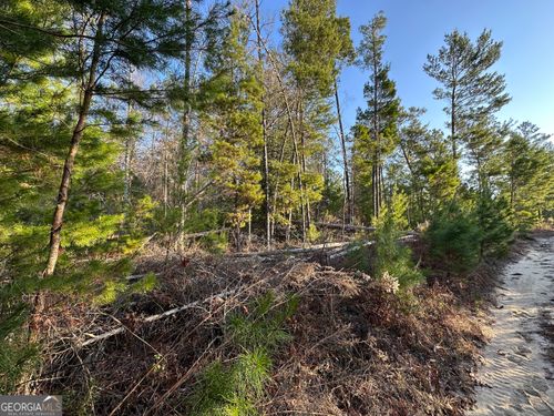 10-acres-PARCEL #1 Horne Road, Roberta, GA, 31078 | Card Image