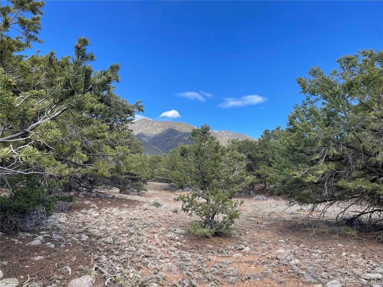 Land in Crestone 5