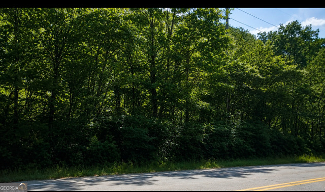 Land in Lafayette 5