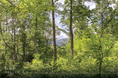 21 Pilot Knob Rd, Glenville, NC, 28736 | Card Image