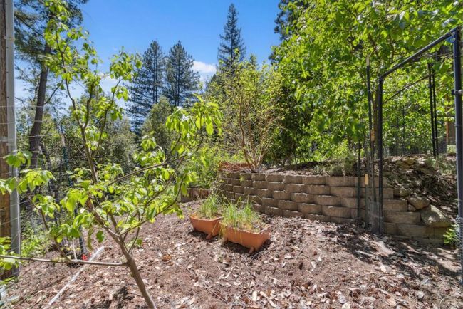 310 Sunny Patch Ln, House other with 1 bedrooms, 1 bathrooms and 4 parking in Ben Lomond CA | Image 34
