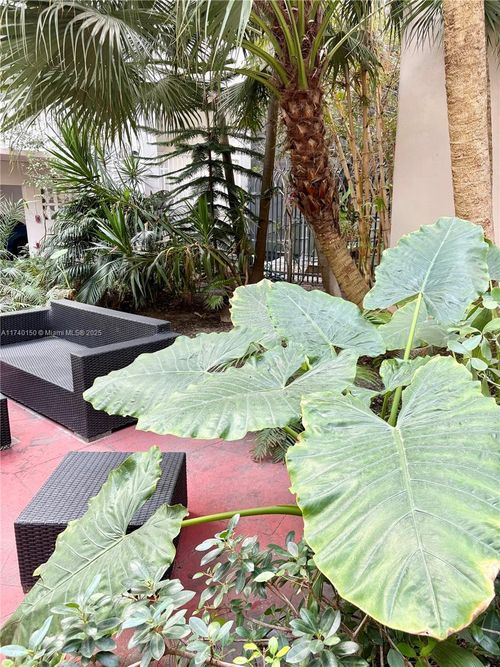 apt-205-1420 Pennsylvania Ave, Miami Beach, FL, 33139-4033 | Card Image