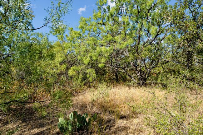 Tract 6 State Highway 6, Home with 0 bedrooms, 0 bathrooms and null parking in Moran TX | Image 6