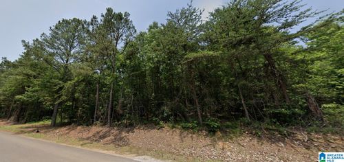 0-00 Bama Rock Garden Rd, Vance, AL, 35490 | Card Image