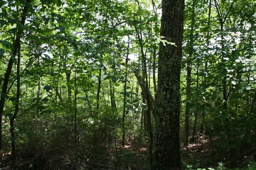 43 High Valley Dr S, MONTEREY, VA, 24465 | Card Image