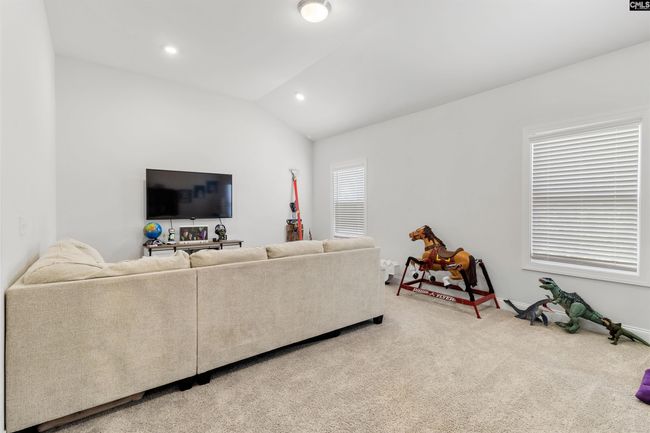214 Chapin Brook Ct, House other with 5 bedrooms, 4 bathrooms and null parking in Chapin SC | Image 37