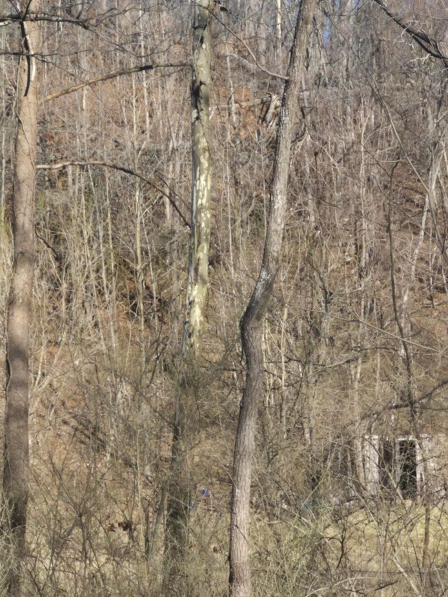 8 | Image 8