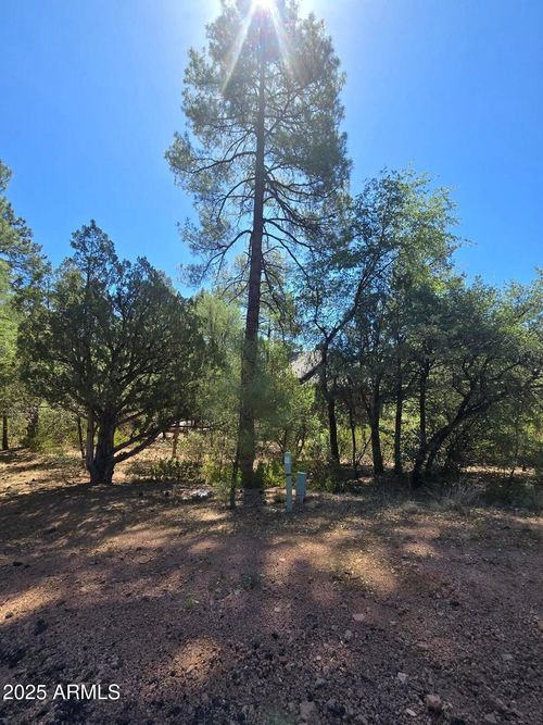 39-2511 E Pine Island Ln, Payson, AZ, 85541-6104 | Card Image