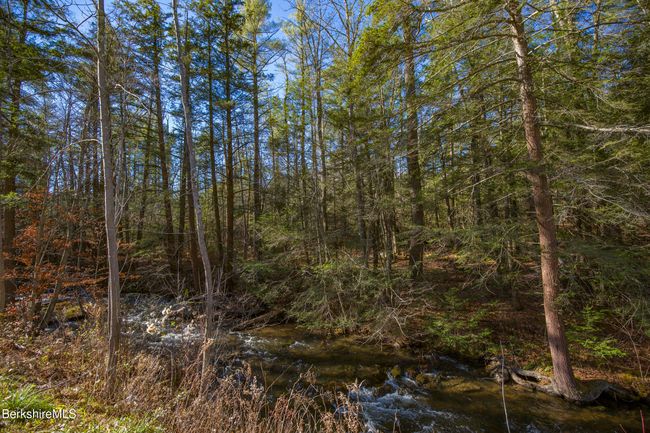 0 Goose Pond Rd, Home with 0 bedrooms, 0 bathrooms and null parking in Tyringham MA | Image 8